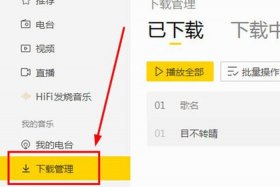 哪里可以免费下载mp3格式的音乐 在哪儿可以下载免费的歌曲mp3