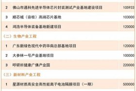 2024年国家政策重点扶持有哪些 - 2024年新项目