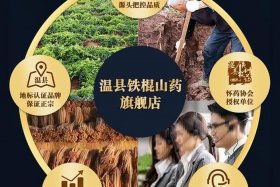 网店怎么运营山药 网店怎么运营山药店