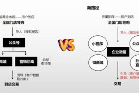 网店运营推广高级实训攻略视频90；网店运营推广实训seo满分