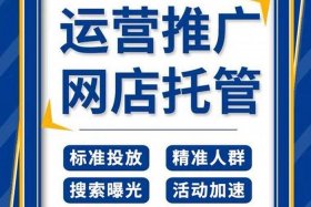 淘宝托管店 - 淘宝托管店铺