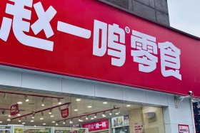 赵一鸣零食店加盟费多少；赵一鸣零食店加盟费多少钱一个月