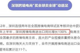 广东电子商务公司排名榜；广东电子商务公司排名榜单