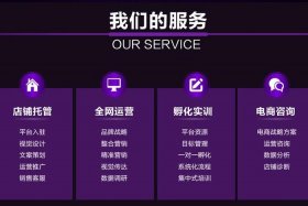 电商运营公司服务商简介 电商运营公司服务商简介模板