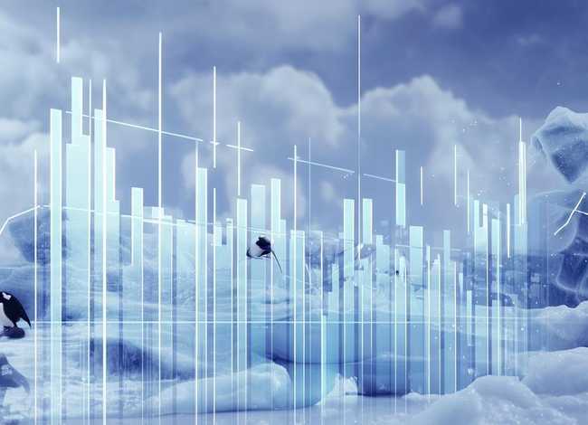 南极电商股票；南极电商股票一季报：南极电商股票投资价值与市场前景分析