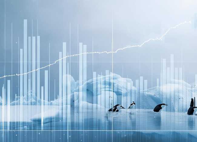 南极电商股票；南极电商股票一季报：南极电商股票投资价值与市场前景分析