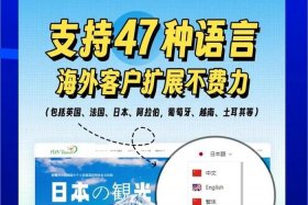 如何开跨境电商独立站 - 跨境独立站怎么运营