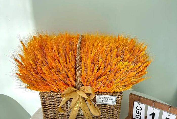 大麦电商是什么、大麦电商是什么公司 大麦电商是什么、大麦电商是什么公司