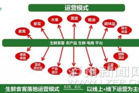 生鲜电商物流解决方案，生鲜电商物流解决方案及措施