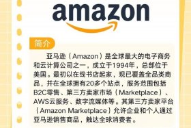 跨境亚马逊电商是做什么的；跨境亚马逊电商是做什么的呢