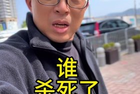 龙炎电商还会退款吗、龙炎电商已结案能退赔吗