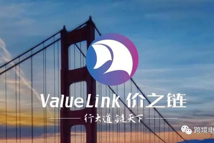 深圳价之链跨境电商有限公司年销售额（深圳价之链跨境电商有限公司年销售额多少）