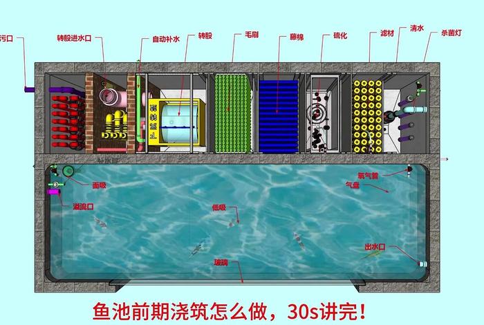 电商鱼池如何建立 如何自建鱼塘电商 电商鱼池如何建立 如何自建鱼塘电商