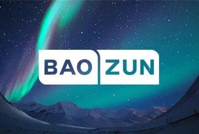 宝尊电商集团 宝尊电商集团是国企吗 宝尊电商集团 宝尊电商集团是国企吗