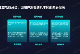 社群电商平台，社群电商平台运营模式研究论文的国内研究现状