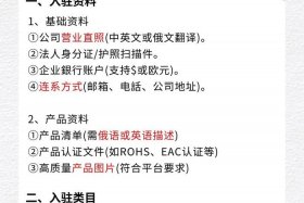 俄罗斯电商平台ozon官网买家入口网页版、俄罗斯电商平台ozon入驻条件