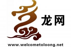 电商公司简介 - 龙道电商公司简介