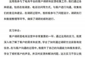 电商运营平台周记300个字 电商运营周记300个字20篇