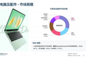 dny1688东南亚跨境电商，dny1688东南亚跨境电商和erp