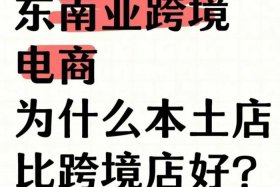 东南亚跨境电商靠谱吗（东南亚跨境电商赚钱吗）