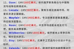 emag电商平台中国店铺多少、中国电商平台gmv排名