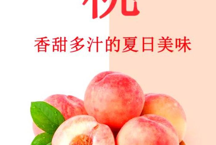 桃子电商;桃子电商是什么 桃子电商;桃子电商是什么