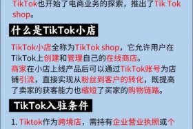tiktok电商怎么做、国内要怎么做tiktok电商