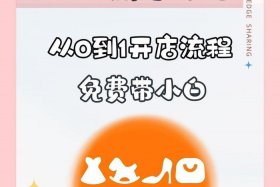 temu跨境电商入驻入口，跨境电商tms