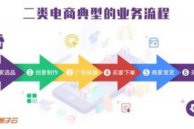 双域电商，双域电商是什么