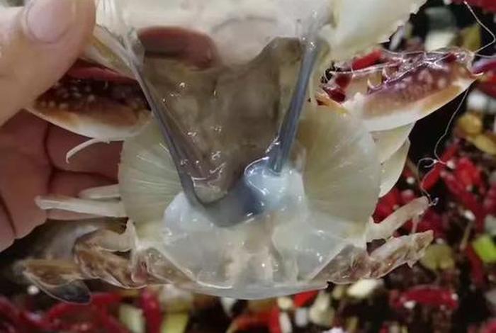 海螺电商平台系统 海螺电商平台进不去怎么办