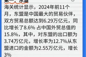 东盟电商平台有哪些（东盟电商平台有哪些品牌）