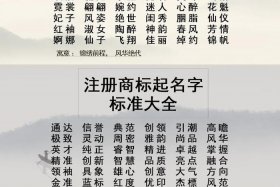 注册电商公司起名字大全免费、注册电商公司起名字大全免费起名