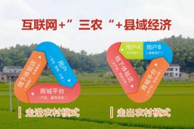 什么是农村电商服务平台（什么是农村电商服务平台呢）