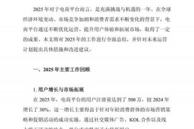 电商总结ppt、电商总结及下步工作计划怎么写