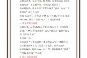 电商平台的推广及运营思路（电商平台的推广及运营思路怎么写）