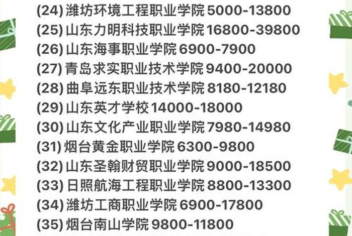 山商电商什么时候开的专业（山东省电商专业专科学校排名）