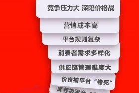 电商价格战内卷 - 电商大战之价格策略营销