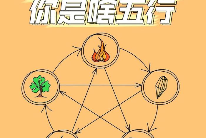 电商的五行属什么（电商的五行属什么？）