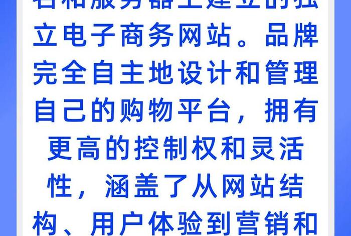 电商独立站是什么、独立站是b2c吗