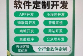 电商开发平台，电商开发平台程序