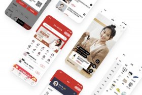 垂直类电商app 垂直电商app有哪些