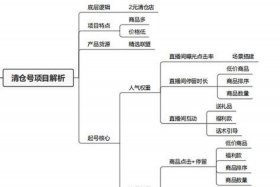 电商带货直播经营模式；电商带货直播经营模式是什么