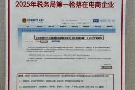 江苏电商税收新政策2025最新公告解读；江苏电商税收新政策2025最新公告解读视