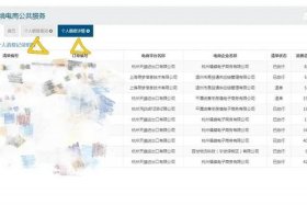 个人电商进口额度，跨境电商进口个人额度