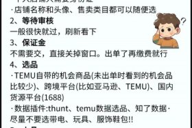 temu跨境电商入门完整教程、outer 跨境电商