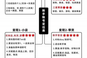 抖音的跨境电商平台；抖音跨境电商平台tiktok的玩法