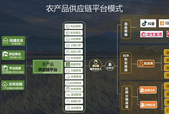 生鲜农产品电商供应链有哪些问题(生鲜农产品电商供应链有哪些问题及对策) 生鲜农产品电商供应链有哪些问题(生鲜农产品电商供应链有哪些问题及对策)