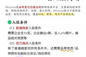 miravia跨境电商回款、跨境电商怎么回款