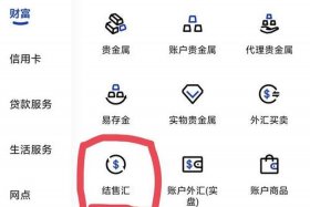 做跨境电商兑换美元的平台叫什么；做跨境电商兑换美元的平台叫什么来着