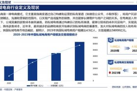 电商发展前景预测、电商发展前景预测怎么写
